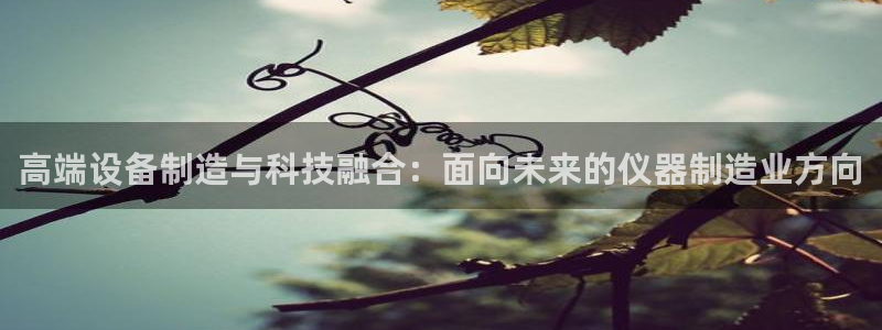星欧娱乐平台下载：高端设备制造与科技融合：面向未来的仪器制造