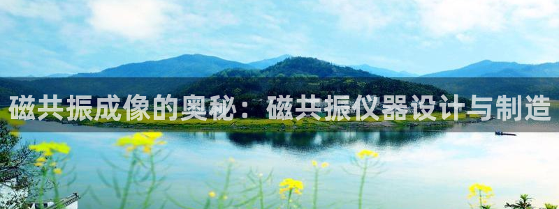 星辉娱乐进入欧联杯了吗：磁共振成像的奥秘：磁共振仪器设计与制