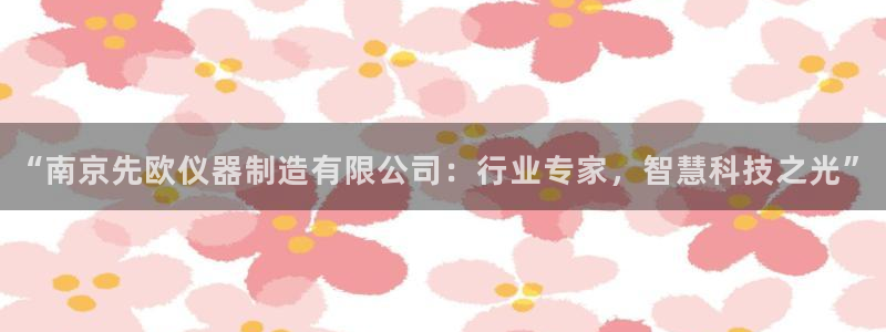 星欧娱乐负责人：“南京先欧仪器制造有限公司：行业专家，智慧科