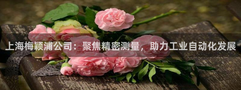 星欧娱乐元7O777：上海梅颖浦公司：聚焦精密测量，助力工业