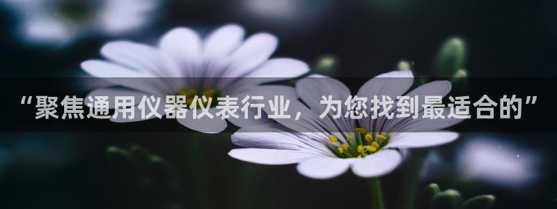 星欧娱乐平台是否靠谱：“聚焦通用仪器仪表行业，为您找到最适合