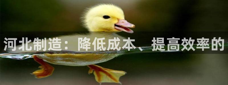 星欧娱乐2024：河北制造：降低成本、提高效率的