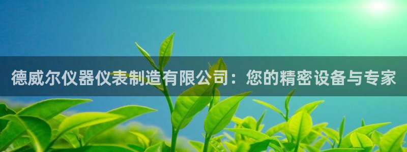 星欧娱乐扣款流程详解：德威尔仪器仪表制造有限公司：您的精密设