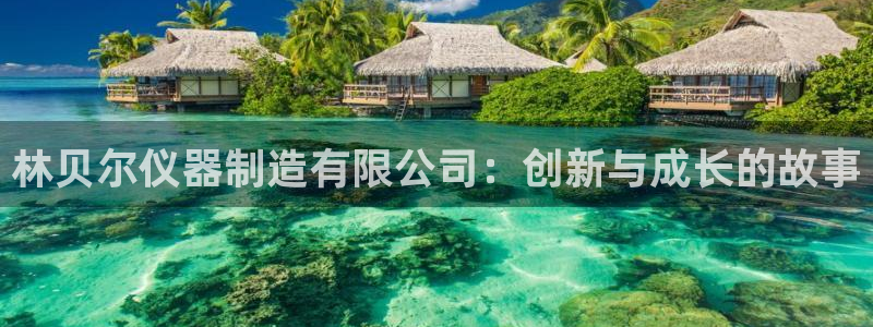 星欧娱乐2024：林贝尔仪器制造有限公司：创新与成长的故事