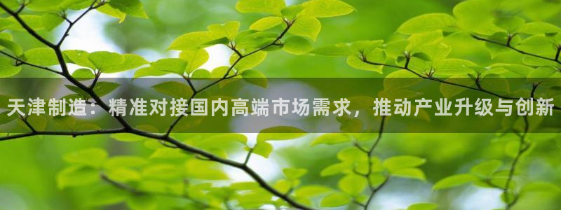 欧乐星城团购娱乐怎么样：天津制造：精准对接国内高端市场需求，