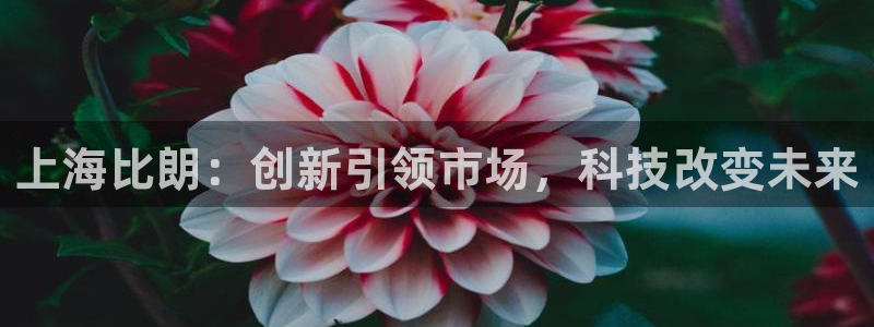 星饭娱乐欧豪是谁：上海比朗：创新引领市场，科技改变未来