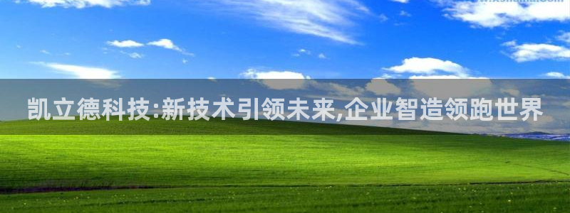 星欧娱乐号7o777：凯立德科技:新技术引领未来,企业智造领