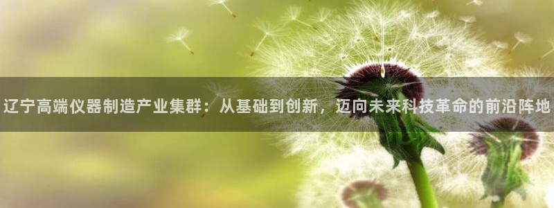 星欧娱乐注册官网入口：辽宁高端仪器制造产业集群：从基础到创新