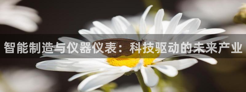 欧星娱乐下载：智能制造与仪器仪表：科技驱动的未来产业