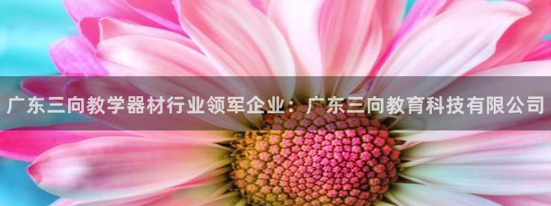 星欧娱乐平台注册入口：广东三向教学器材行业领军企业：广东三向