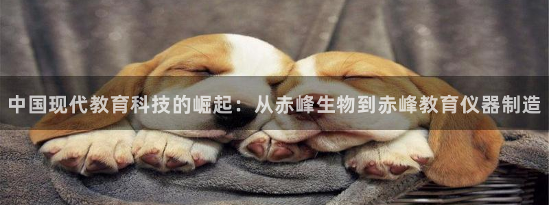 欧乐星城娱乐：中国现代教育科技的崛起：从赤峰生物到赤峰教育仪