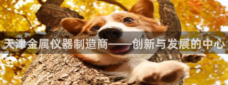欧星娱乐真人：天津金属仪器制造商——创新与发展的中心