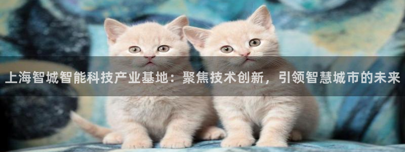 星欧娱乐咋7O777：上海智城智能科技产业基地：聚焦技术创新
