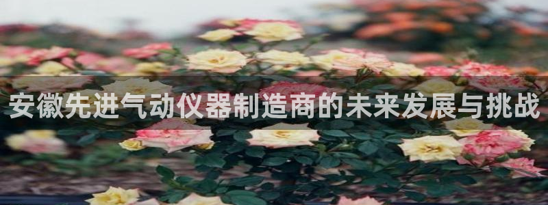 星欧娱乐注册要多少钱：安徽先进气动仪器制造商的未来发展与挑战