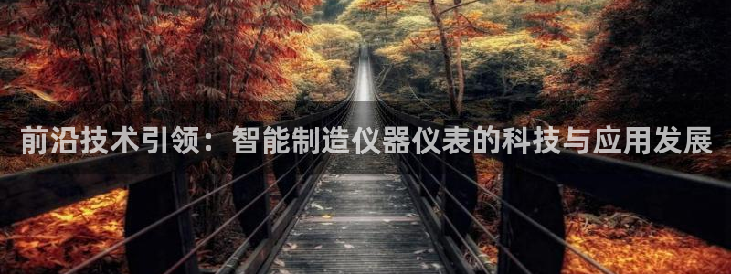 星欧娱乐的创始人背景：前沿技术引领：智能制造仪器仪表的科技与