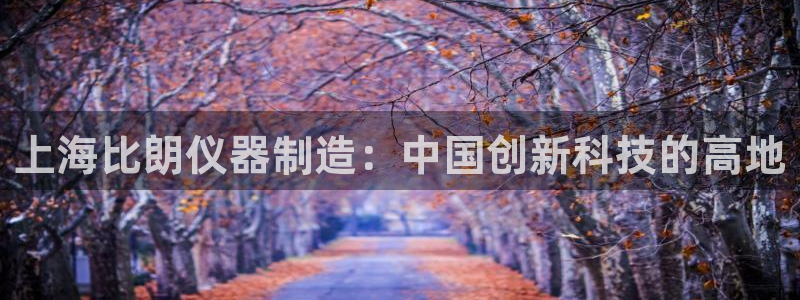 星欧娱乐官方网页：上海比朗仪器制造：中国创新科技的高地