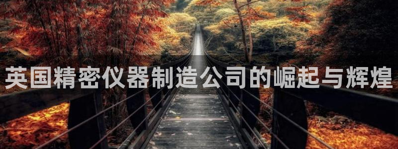 星欧娱乐平台登陆地址：英国精密仪器制造公司的崛起与辉煌
