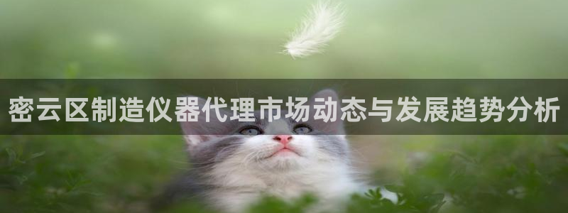 欧星娱乐 菲律宾：密云区制造仪器代理市场动态与发展趋势分析