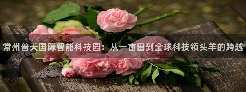 欧乐星城娱乐的介绍：常州普天国际智能科技园：从一亩田到全球科