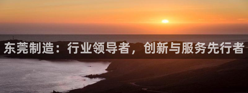 星欧娱乐游戏：东莞制造：行业领导者，创新与服务先行者