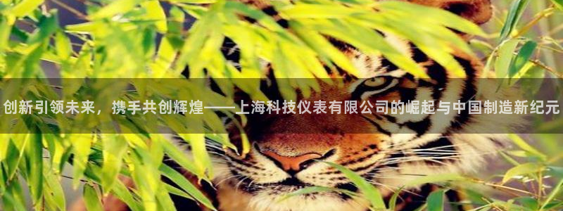 星欧娱乐最新活动：创新引领未来，携手共创辉煌——上海科技仪表