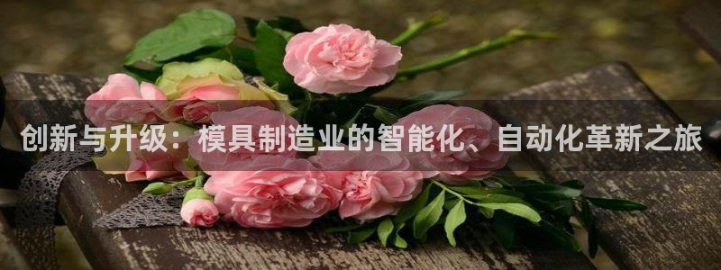 星娱乐online欧豪：创新与升级：模具制造业的智能化、自动