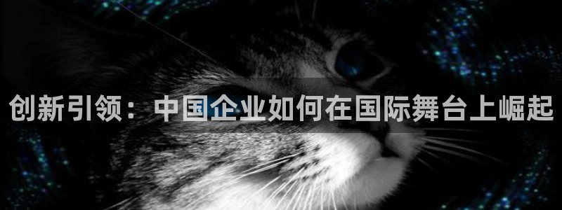 星欧娱乐注册登录：创新引领：中国企业如何在国际舞台上崛起