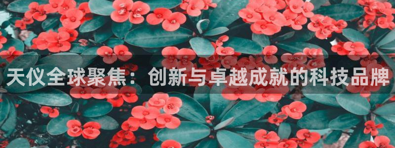 热星娱乐欧豪是谁：天仪全球聚焦：创新与卓越成就的科技品牌