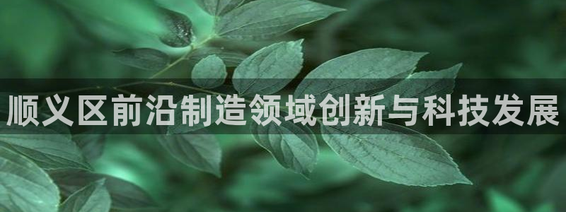 欧星娱乐是做什么的：顺义区前沿制造领域创新与科技发展