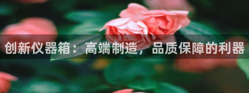 星欧娱乐客服电话：创新仪器箱：高端制造，品质保障的利器