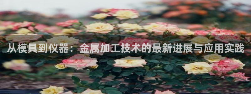 星欧娱乐app登录入口：从模具到仪器：金属加工技术的最新进展
