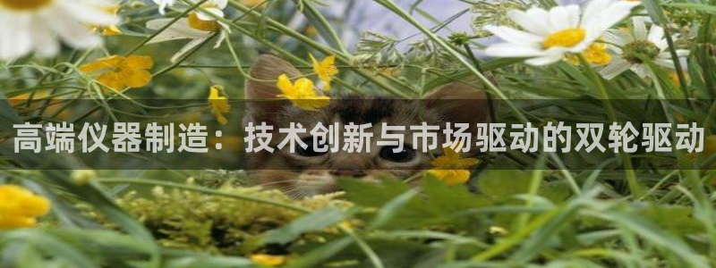 欧星娱乐平台是黑的吗：高端仪器制造：技术创新与市场驱动的双轮