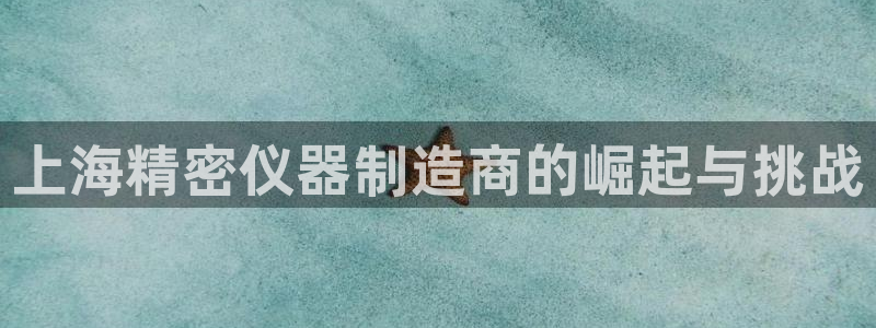 星娱乐online欧豪：上海精密仪器制造商的崛起与挑战