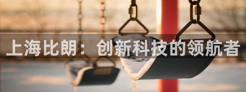 星欧娱乐在线注册：上海比朗：创新科技的领航者