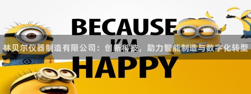 星欧娱乐注册：林贝尔仪器制造有限公司：创新科技，助力智能制造