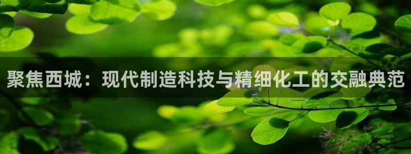 星欧娱乐登录：聚焦西城：现代制造科技与精细化工的交融典范