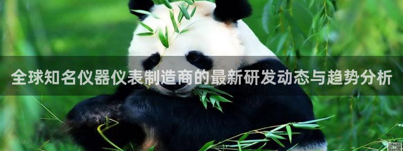 星欧娱乐注册登录：全球知名仪器仪表制造商的最新研发动态与趋势