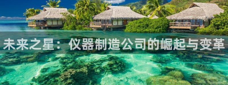 星欧娱乐的官方网站：未来之星：仪器制造公司的崛起与变革