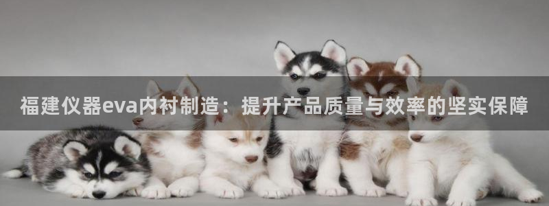 星欧娱乐扣钱是客服电话：福建仪器eva内衬制造：提升产品质量