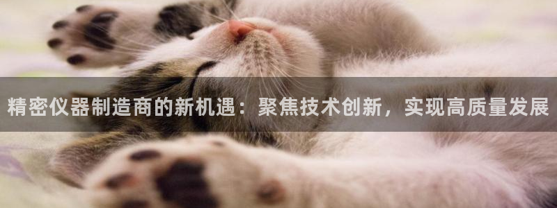 欧亿2娱乐诗星22650j：精密仪器制造商的新机遇：聚焦技术