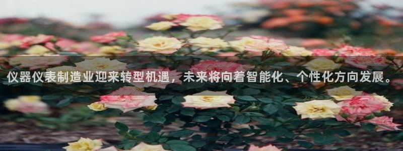 星欧娱乐最新消息今天：仪器仪表制造业迎来转型机遇，未来将向着