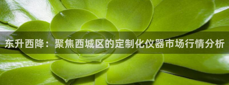 星欧娱乐官网登录：东升西降：聚焦西城区的定制化仪器市场行情分