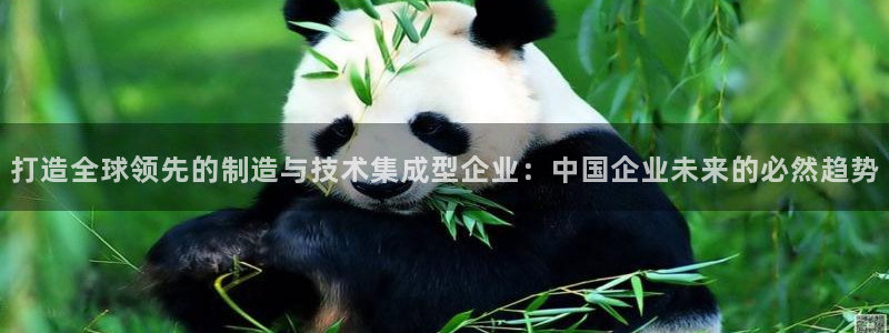 星欧娱乐是诈骗吗：打造全球领先的制造与技术集成型企业：中国企