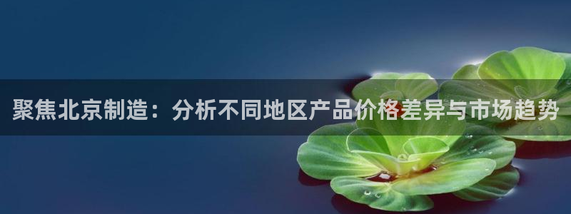 星欧娱乐还能玩吗：聚焦北京制造：分析不同地区产品价格差异与市
