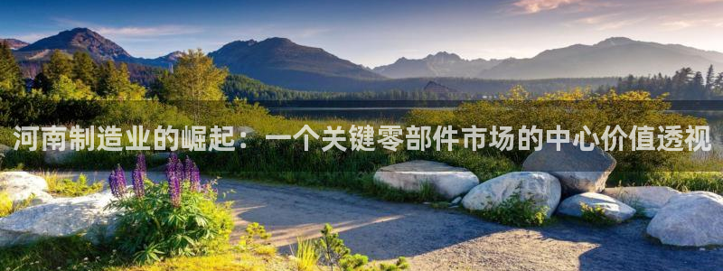 欧星国际娱乐：河南制造业的崛起：一个关键零部件市场的中心价值