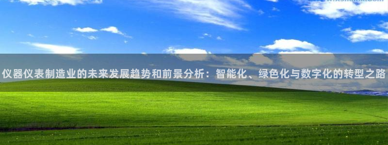 星欧娱乐注册登录入口：仪器仪表制造业的未来发展趋势和前景分析