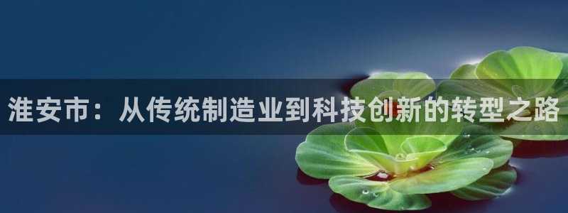 星欧娱乐联客服联系方式：淮安市：从传统制造业到科技创新的转型