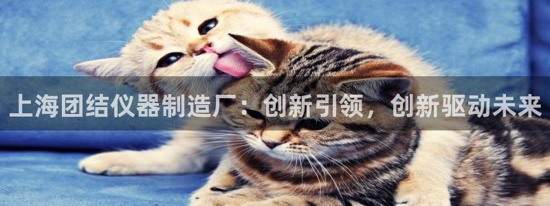 星欧娱乐最新版下载链接：上海团结仪器制造厂：创新引领，创新驱