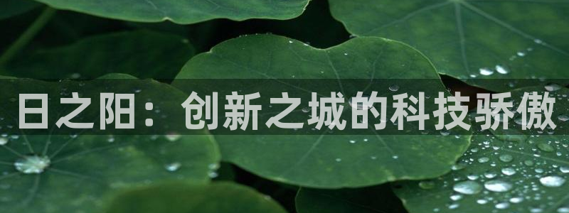 星欧娱乐app注册：日之阳：创新之城的科技骄傲