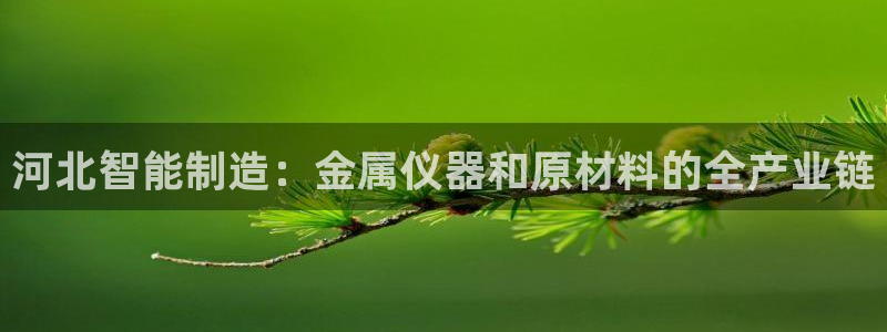 欧星娱乐的盘口：河北智能制造：金属仪器和原材料的全产业链